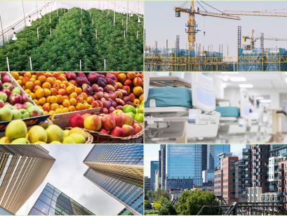 Collage containing cannabis plants, construction crane, books, fruit, and other images