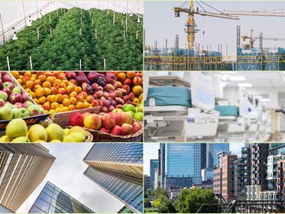 Collage containing cannabis plants, construction crane, books, fruit, and other images