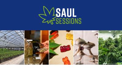 Saul Sessions: images include Cannabis and Cannabis related products