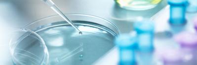 petri dish with pipette