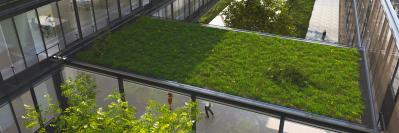 Grassy building exterior