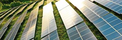 Solar panels in field