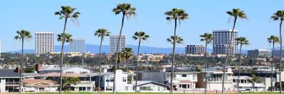 Streetscape with palm trees and buildings